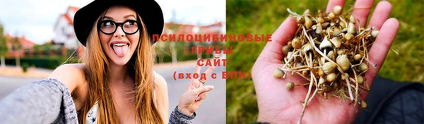 метадон Новодвинск