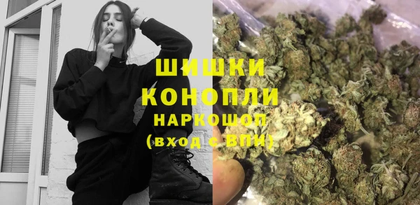 стафф Осташков