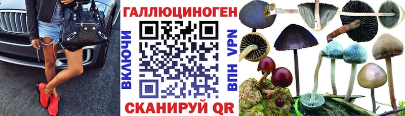 гидра рабочий сайт  где купить   Задонск  Псилоцибиновые грибы GOLDEN TEACHER 